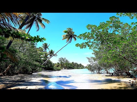 Menumas Vs The Witcher - Power