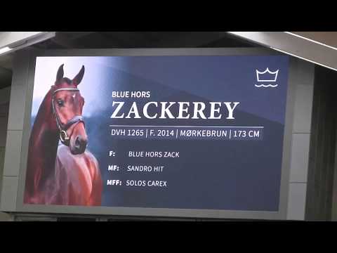 Blue Hors Stallionshow 2019: Zackery