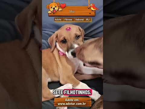 Vídeo de Mia