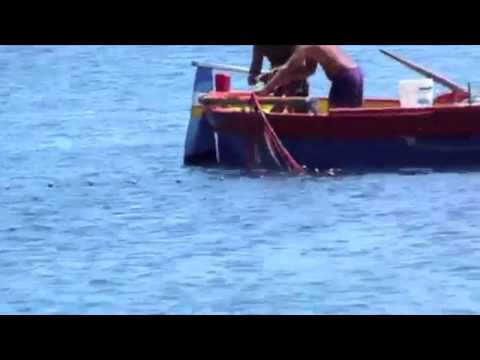 PESCATORE : BERTOLI - MANNOIA