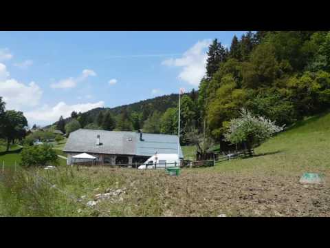 幼児・小学生向け寄宿学校プレフルーリに続く道【スイス留学.com】