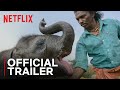 The Elephant Whisperers | Official Trailer | Netflix India