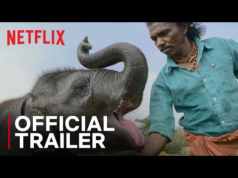 The Elephant Whisperers | Official Trailer | Netflix India thumnail