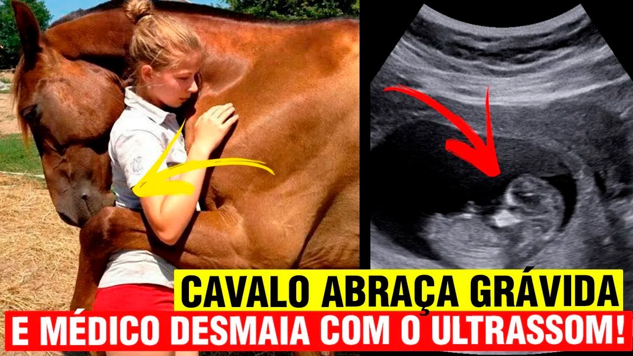 Cavalo insiste em ABRAÇAR mulher GRÁVIDA, e médico vê detalhe CHOCANTE no ultrassom!
