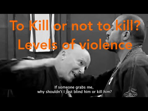 Levels of violence - Why Ninjutsu is a mature system? - Yossi Sheriff, AKBAN
