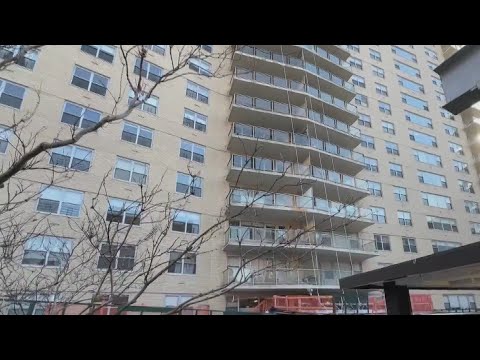 3 shot, 2 killed inside Bronx apartment building: NYPD