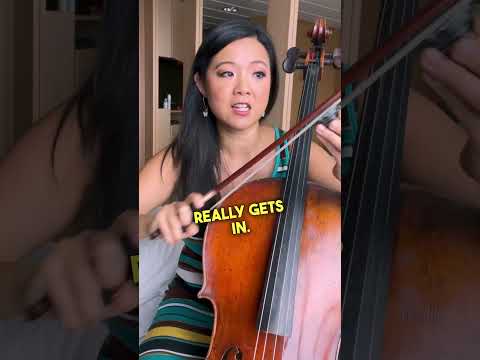 How to Properly Rosin Cello Bow!