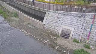 和田堀公園池映像監視局