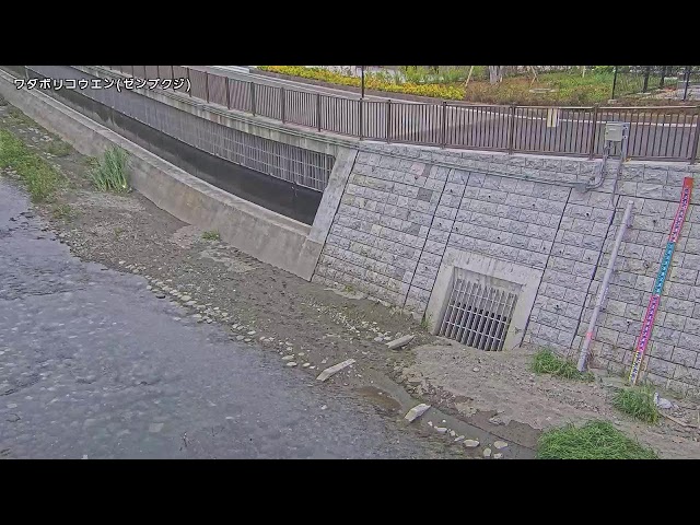 和田堀公園池映像監視局