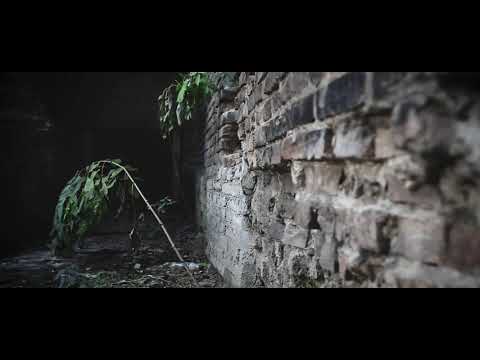 Mieczysław Wajnberg (Weinberg) "Aria"