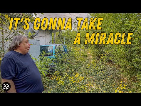 HEALTH issues PILE UP while Bamboo COMPLETELY takes over their YARD!