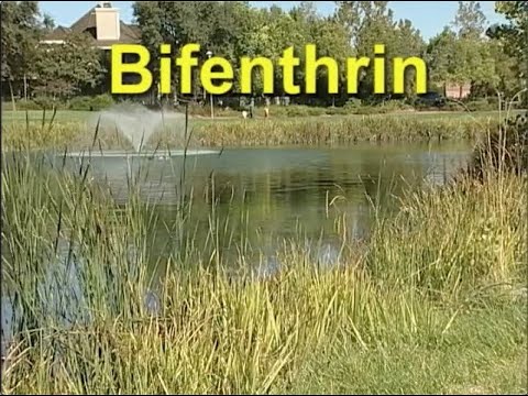 Captain Bifenthrin 10% EC Insecticide