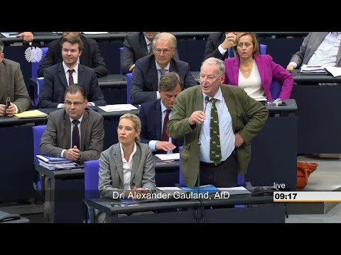 Der Schlagabtausch und Tumulte im Bundestag 12.09.2018 - Bananenrepublik
