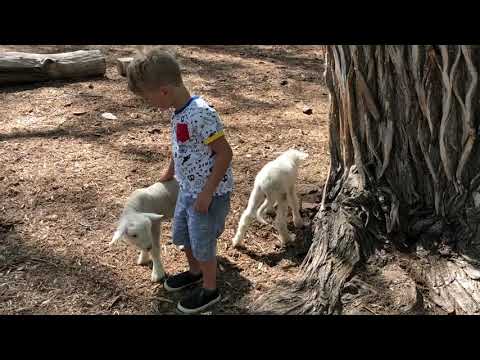 Ethan Jabbouri at Zootah