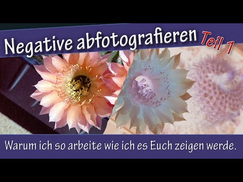 Photographing negatives Part 1 - Why I work the way I will show you