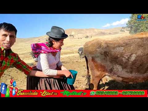 MTV: PRESENTA ESTE NUEVO MATERIAL TITULADO "HUAJCHA WAWANAKAN SARNAQAWIPA"