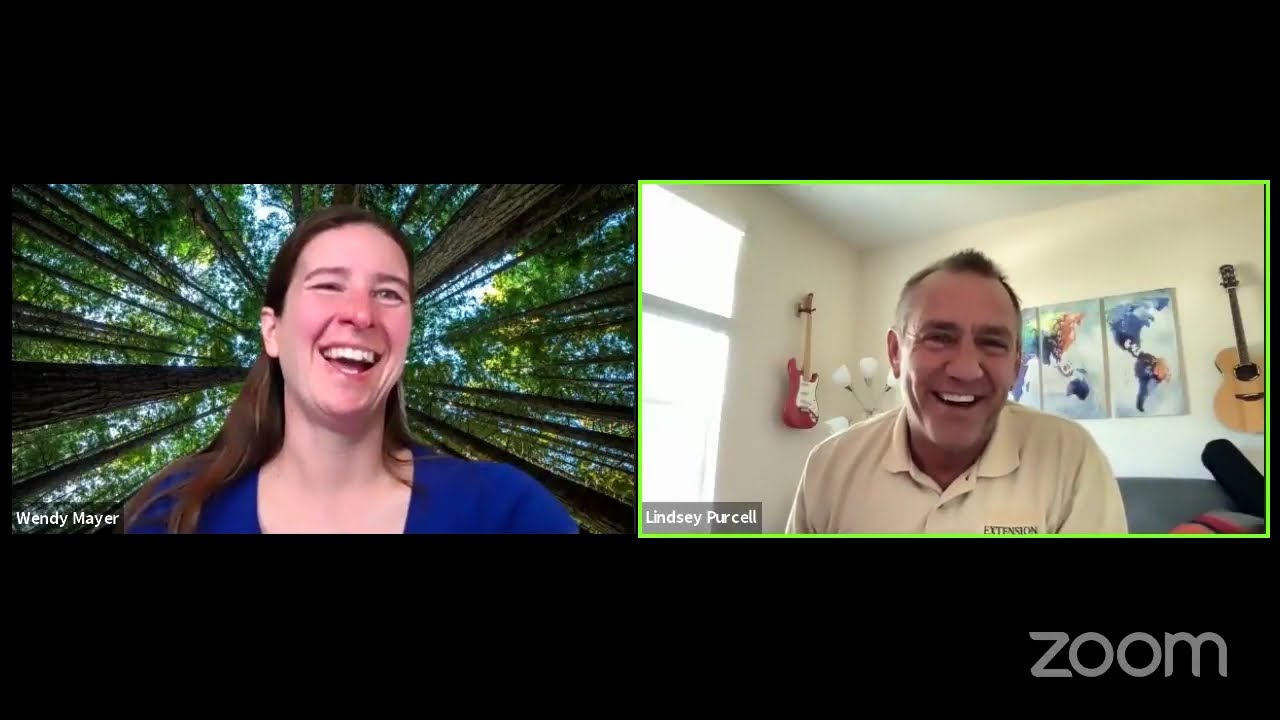 Ask an Expert: Tree Selection and Planting