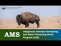 USDA AMS Indigenous Animals Harvesting Meat Processing Grant Program IAG