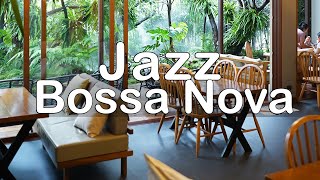 Calm Your Mind with Soft Jazz Piano and Bossa Nova Music