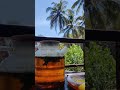 Enjoy! #balcony #tea  #goa #chill #palm #smoke #sunny #sun #nature #bluesky #summer #relaxing