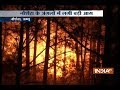 Forest fire in Naushera village