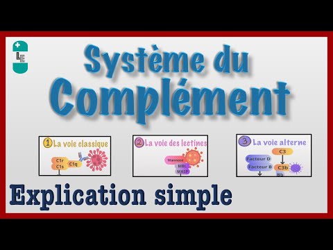 THE COMPLEMENT SYSTEM - Simple Explanation, CAM, Convertase, Immunology