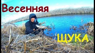 Отчеты с рыбалок киевская область