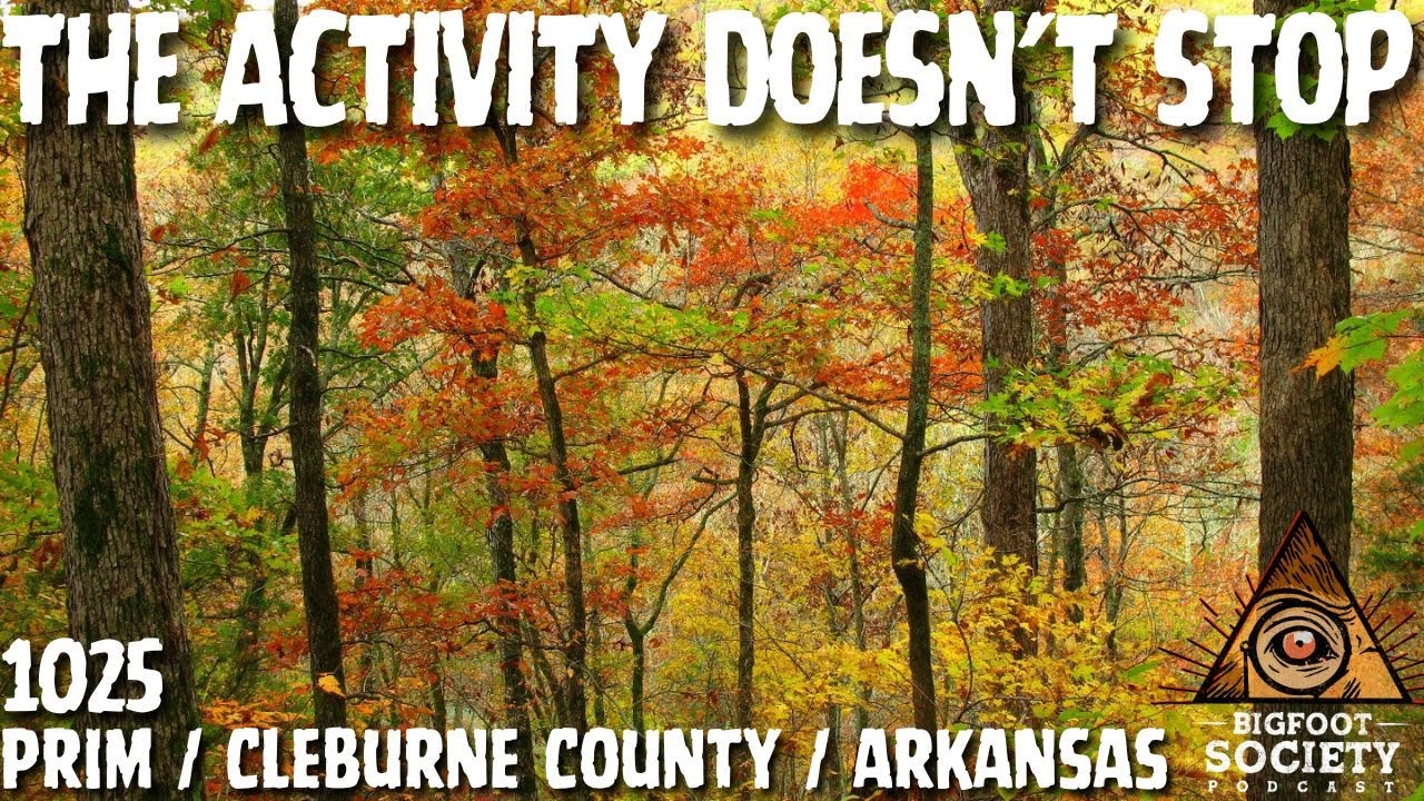 Living With Bigfoot in Rural Arkansas | Footprints, Sightings, and Ongoing Activity