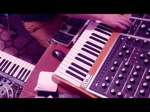 MOOG ONE Exploration // Song "Sotto" Feat Moog One, Moog Grandmother