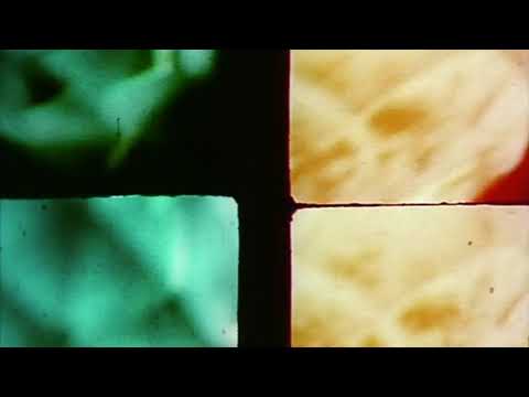 plástica - maqueta completa - tröikadedra