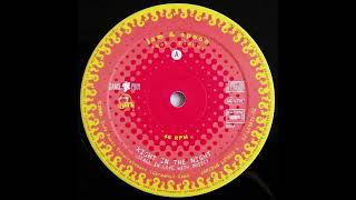 Jam & Spoon Feat. Plavka - Right In The Night (Fall In Love With Music) [LBR 07]