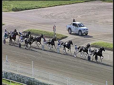 Trotto 13/06/2019 - 7ª corsa