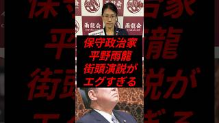 保守政治家の平野雨龍、街頭演説がエグすぎる #政治 #税金 #自民党 #石破 #平野雨龍