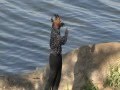 Dagim Mekonnen Gelloo