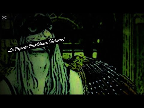 La Pajarita Pechiblanca (Scherzo) - LFDAA (Gualeguaychú 12/04/2014) - Pajaritos en Vivo