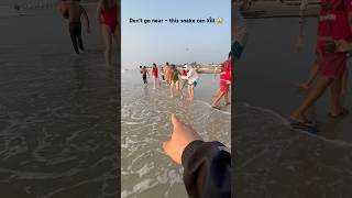Beach rule: See this? Walk away 😱