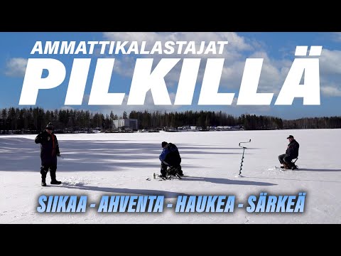 Nyt nappaa | Asiantuntijan vinkit pilkkikalastukseen