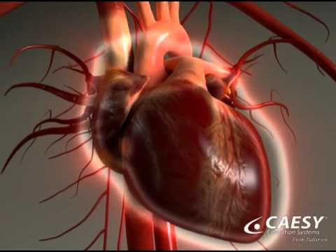 Initial Visit Procedure Pre Meds