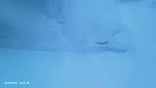 2/8　札幌の自宅前の雪の様子