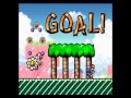 NEW SMW2 100 Speedrun In 5 35 59