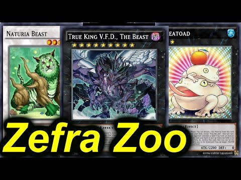 Zefra Zoodiac!! 3 CARD BROKEN COMBOS!!