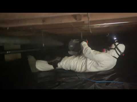 A Damp Crawl Space and Mold in Point...