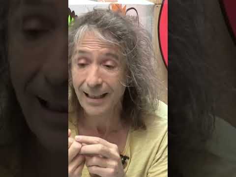 Roberto Iniesta: "I did not cancel the Extremoduro tour"