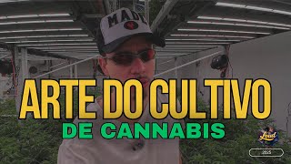 A Arte do Cultivo De Cannabis – O Que Ninguém Te Conta!