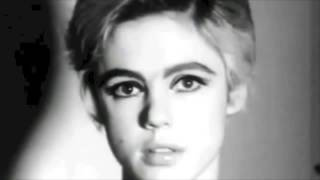 Hey Marseilles // New Album Coming Soon