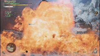初心者ハンターレリョもん&ドランのオメガプラネテス討伐戦［MH Wilds］