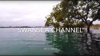 Swansea Channel Snorkel