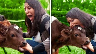 【神回】ツッコミどころ満載な動物のおもしろ動画見ようぜwwwwww⑦ 【ハプニング映像】【犬】【猫】