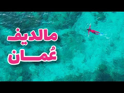 أجمل جزيرة في عُمان الديمانيات 😱🥹😍| Dimaniyat Islands