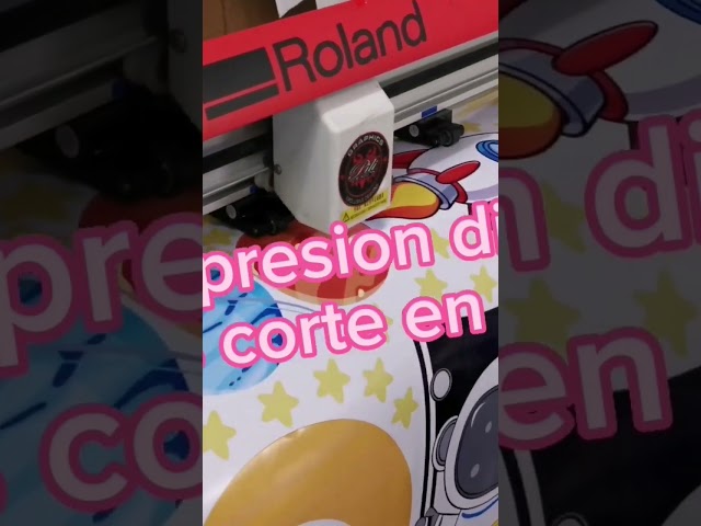 Vídeo relacionado con Calcomanía de vinilo duradero para decoración de habitación pequeña, ilustración anatómica de la cabeza y el cerebro humanos. Vaso para uso de billar (6 x 9 cm)